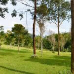 Natural Hill Cisarua Lembang
